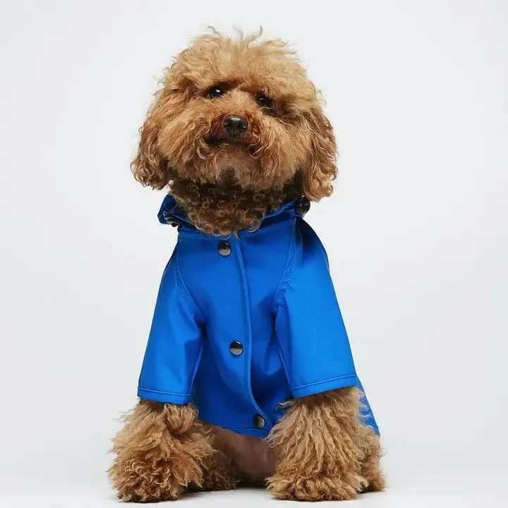 Eco-Friendly Raincoat Blue