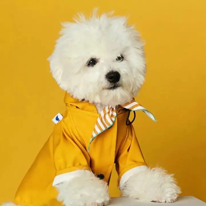 Eco-Friendly Raincoat yellow